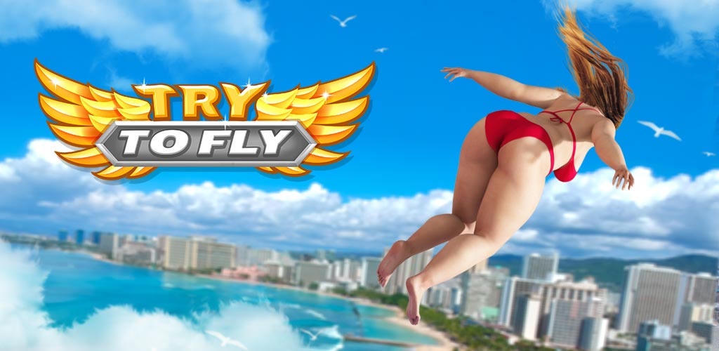 Jouez à Try to Fly sur PC, le tour est joué, pas à pas!